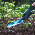 Benefits and Comparison of Organic Fertilizer