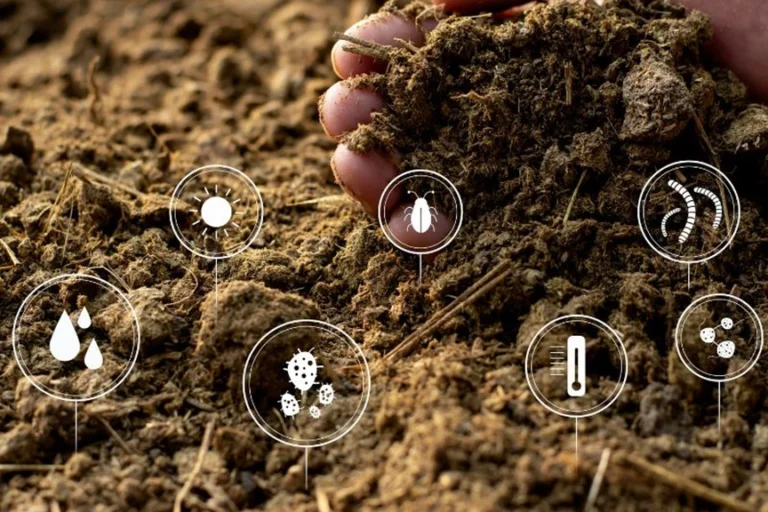 How Performance Parameters of Chicken Manure Pellets Machines Affect Their Lifespan