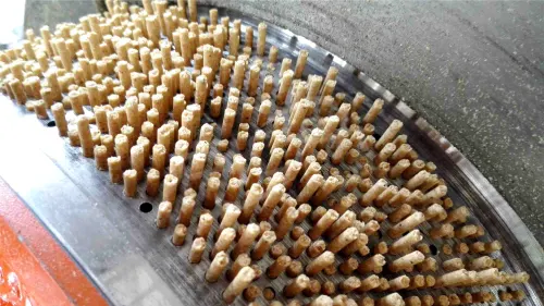 Close-up view of chicken feed pellets manufactured by poultry feed production equipment in Uzbekistan
